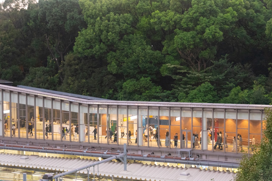 Jak działa japoński transport publiczny – szybkie pociągi i metro