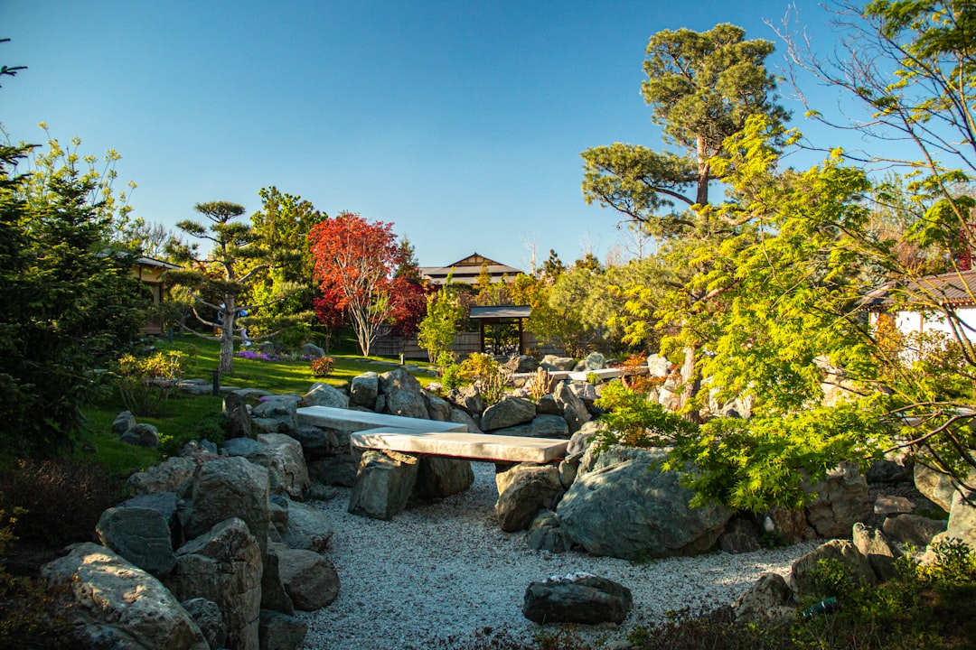 Japońska sztuka ogrodowa – filozofia zen w praktyce